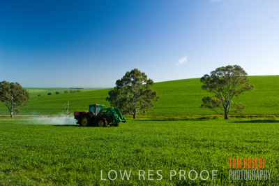 August 2007 / CROP_FIELDS_240
