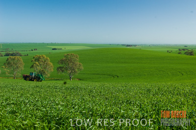 August 2007 / CROP_FIELDS_245