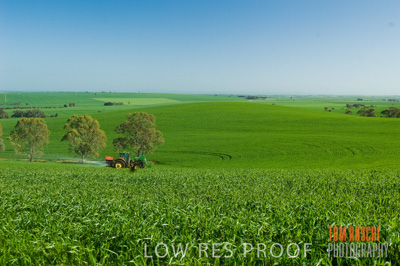 August 2007 / CROP_FIELDS_246