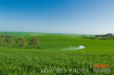 August 2007 / CROP_FIELDS_247