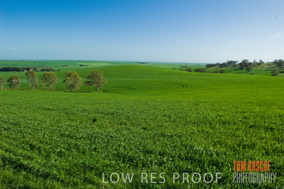 August 2007 / CROP_FIELDS_249