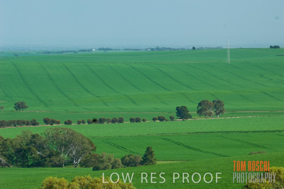 August 2007 / CROP_FIELDS_250