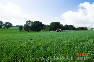 August 2007 / CROP_FIELDS_257