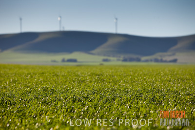 July 2008 / CROP_FIELDS_290