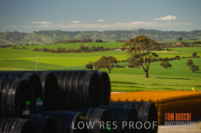 August 2008 / CROP_FIELDS_295