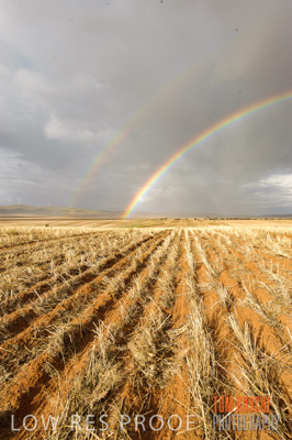 May 2009 / CROP_FIELDS_301