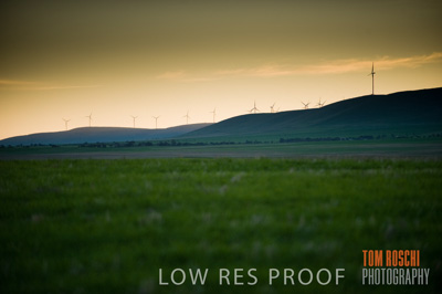 July 2009 / CROP_FIELDS_303
