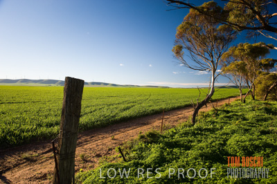 July 2009 / CROP_FIELDS_338