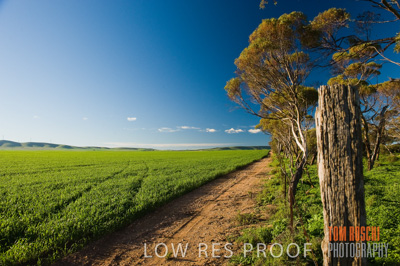 July 2009 / CROP_FIELDS_343
