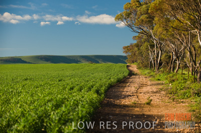 July 2009 / CROP_FIELDS_344
