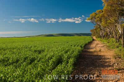 July 2009 / CROP_FIELDS_346