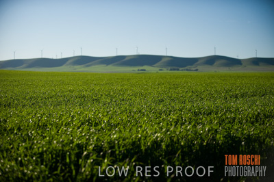 July 2009 / CROP_FIELDS_347