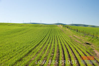 July 2009 / CROP_FIELDS_374