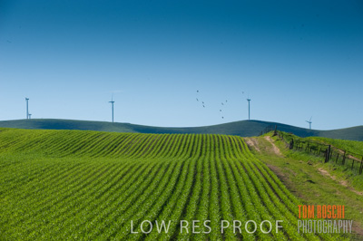 July 2009 / CROP_FIELDS_376