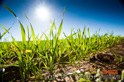 July 2009 / CROP_FIELDS_401