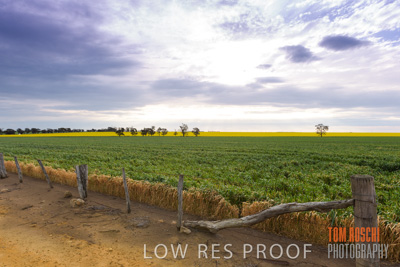 September 2014 / CROP_FIELDS_811