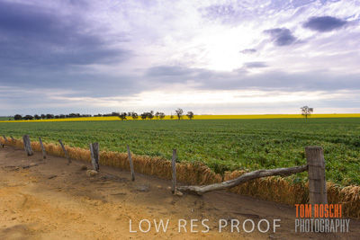 September 2014 / CROP_FIELDS_812