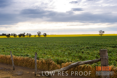 September 2014 / CROP_FIELDS_814