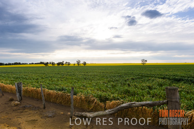 September 2014 / CROP_FIELDS_815