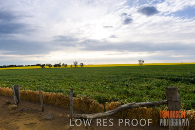 September 2014 / CROP_FIELDS_816