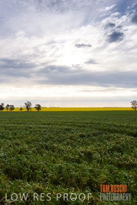 September 2014 / CROP_FIELDS_817