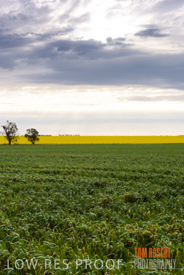 September 2014 / CROP_FIELDS_818