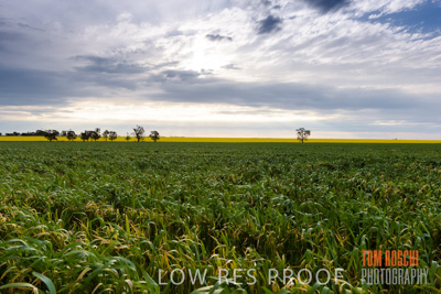 September 2014 / CROP_FIELDS_819