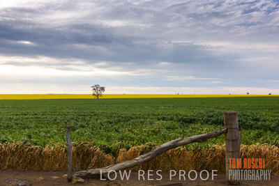 September 2014 / CROP_FIELDS_820