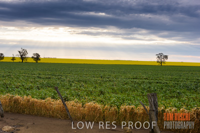 September 2014 / CROP_FIELDS_822