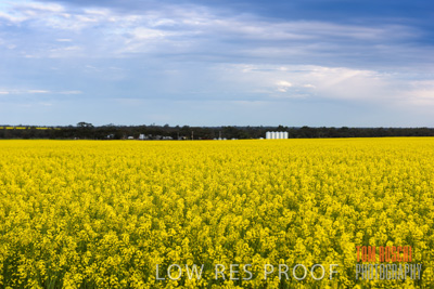 September 2014 / CROP_FIELDS_823