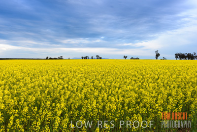 September 2014 / CROP_FIELDS_825