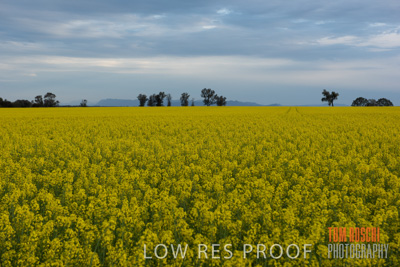 September 2014 / CROP_FIELDS_827