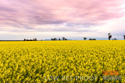 September 2014 / CROP_FIELDS_830