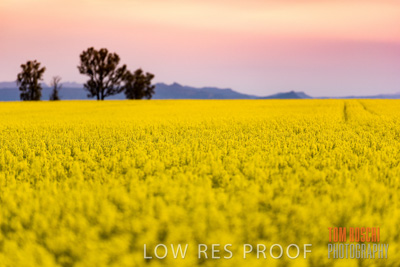 September 2014 / CROP_FIELDS_834