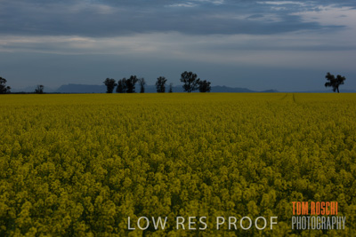 September 2014 / CROP_FIELDS_848