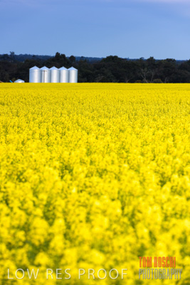 September 2014 / CROP_FIELDS_854