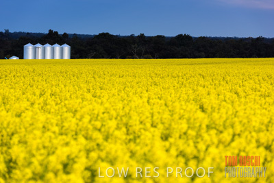 September 2014 / CROP_FIELDS_856