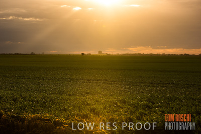 September 2014 / CROP_FIELDS_857