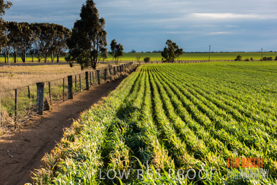 September 2014 / CROP_FIELDS_863