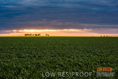 September 2014 / CROP_FIELDS_872