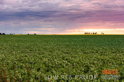 September 2014 / CROP_FIELDS_873