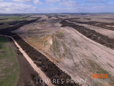 August 2017 / DROUGHT_1373