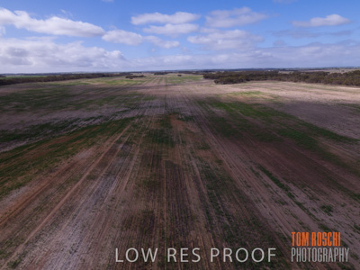 August 2017 / DROUGHT_1374