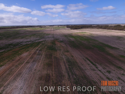 August 2017 / DROUGHT_1375