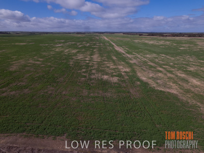 August 2017 / DROUGHT_1376