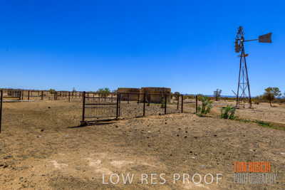 January 2020 / DROUGHT_3098