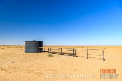 January 2020 / DROUGHT_3101