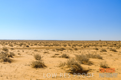 January 2020 / DROUGHT_3102