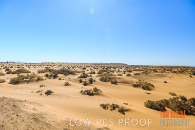 January 2020 / DROUGHT_3103