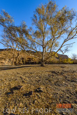 January 2020 / DROUGHT_3104